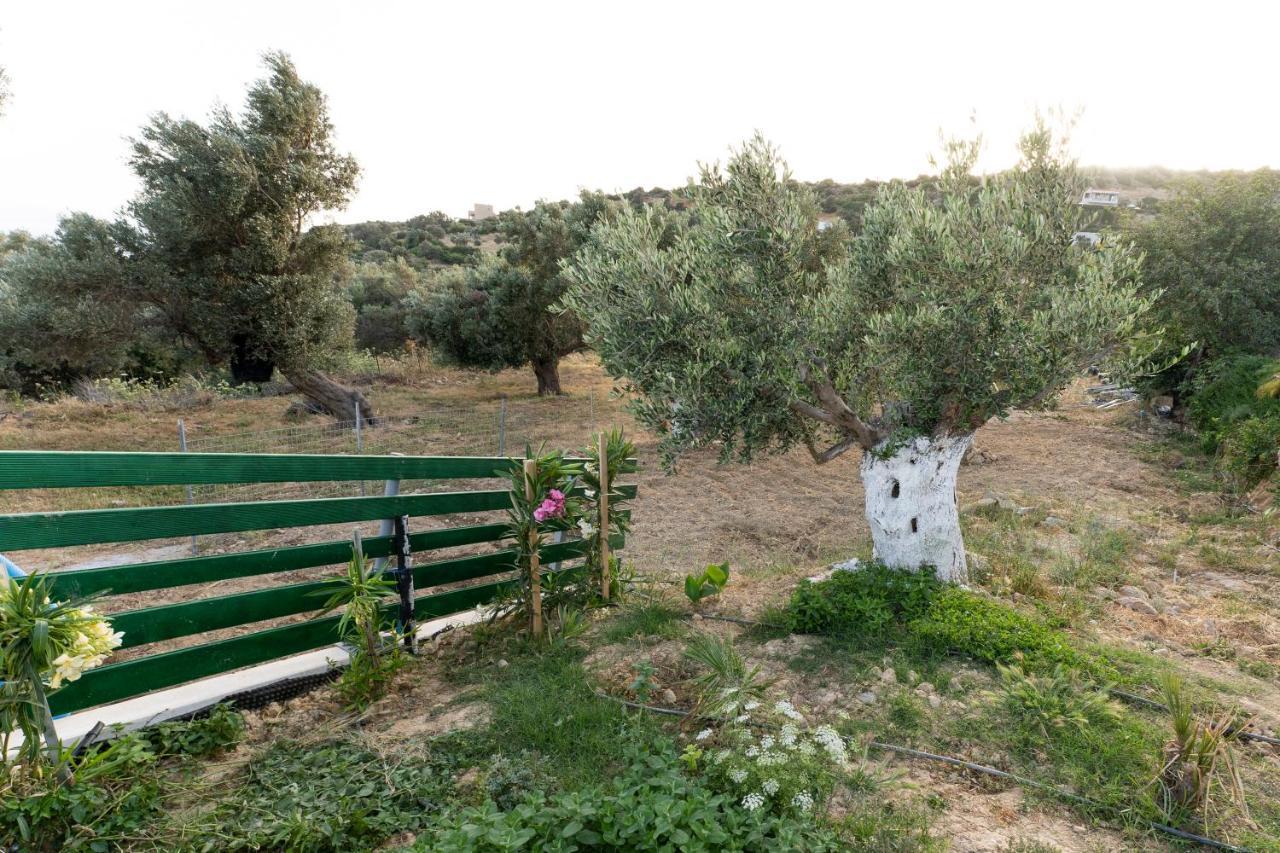 Galini House Villa Triopetra Eksteriør billede