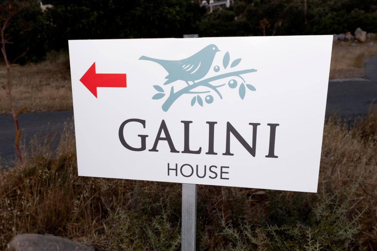 Galini House Villa Triopetra Eksteriør billede
