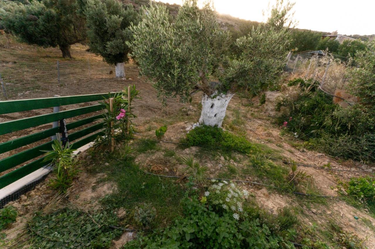 Galini House Villa Triopetra Eksteriør billede
